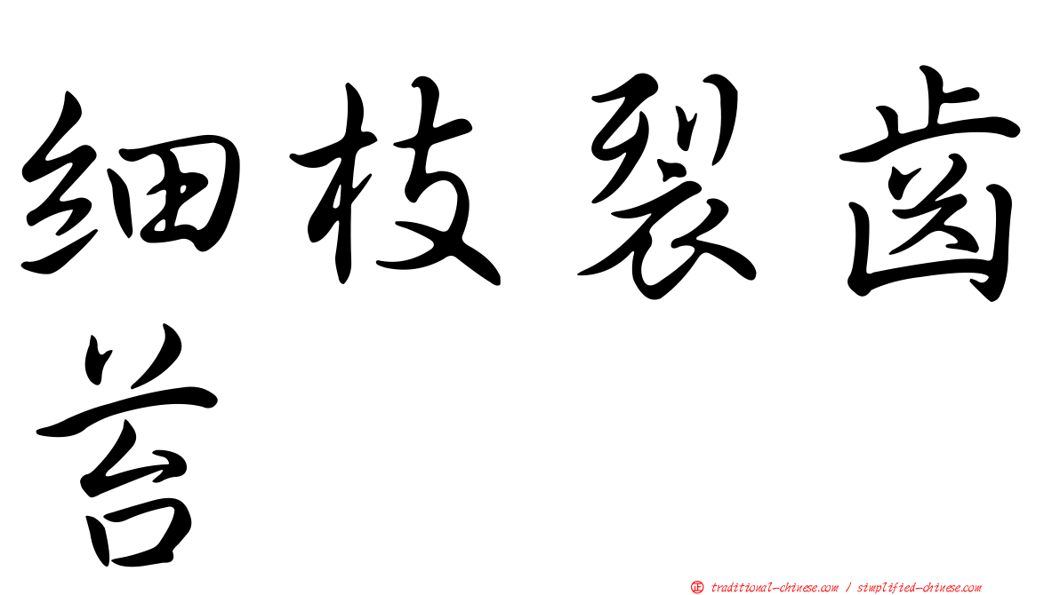 細枝裂齒苔