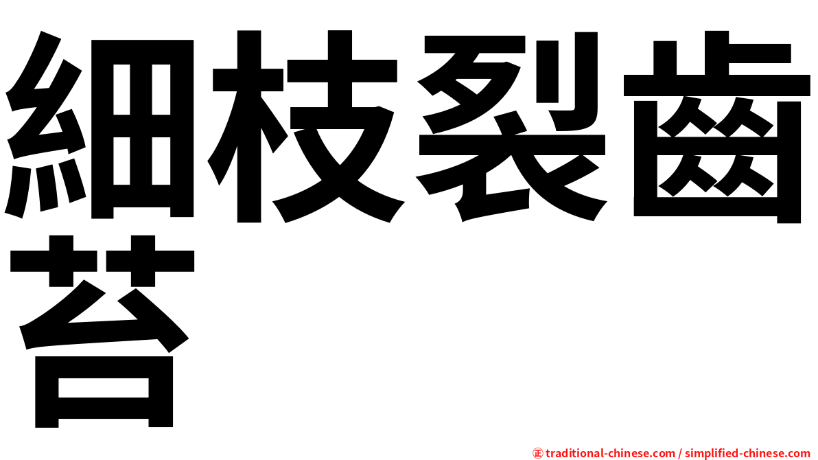 細枝裂齒苔