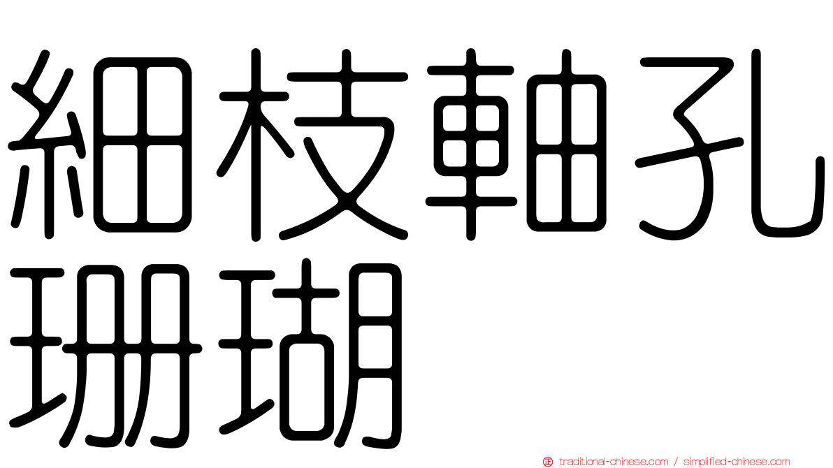 細枝軸孔珊瑚