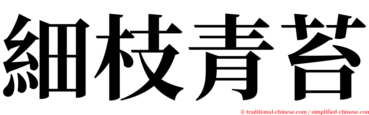 細枝青苔 serif font