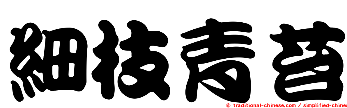細枝青苔