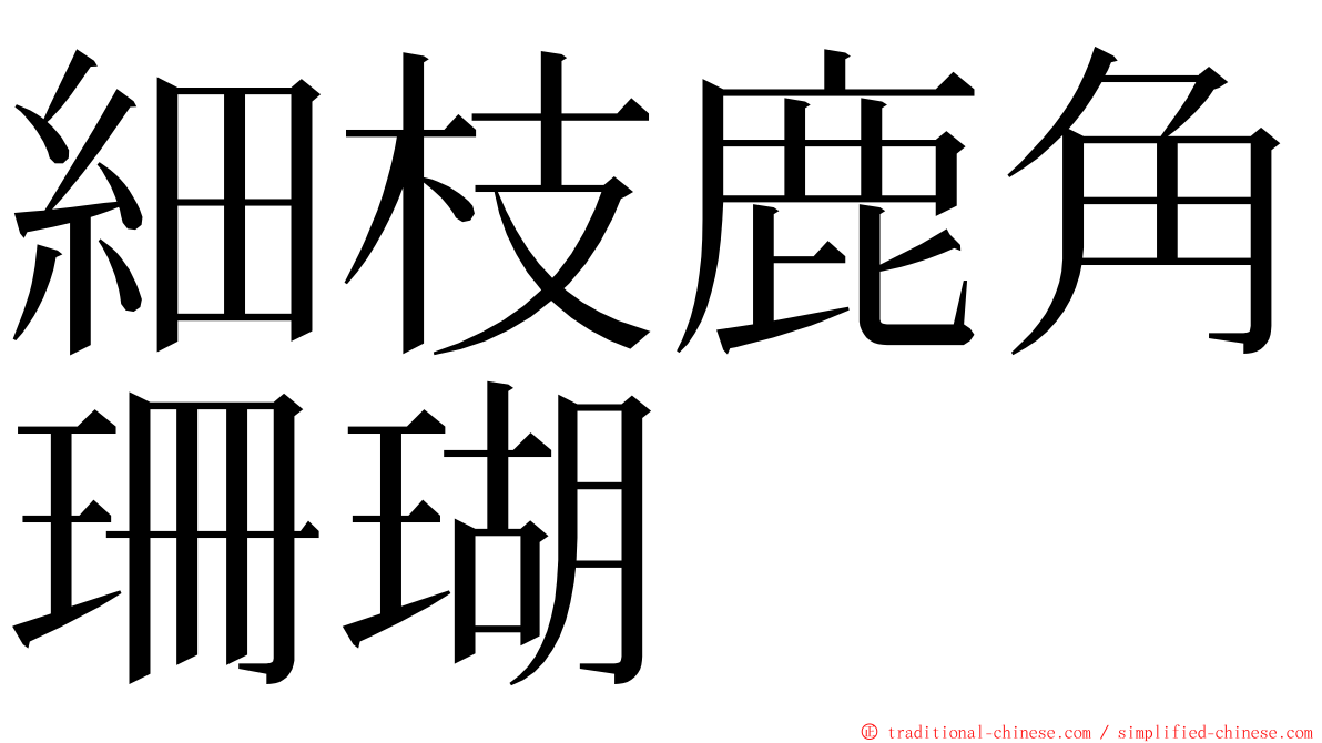 細枝鹿角珊瑚 ming font