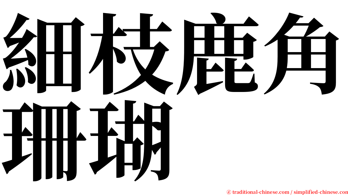 細枝鹿角珊瑚 serif font