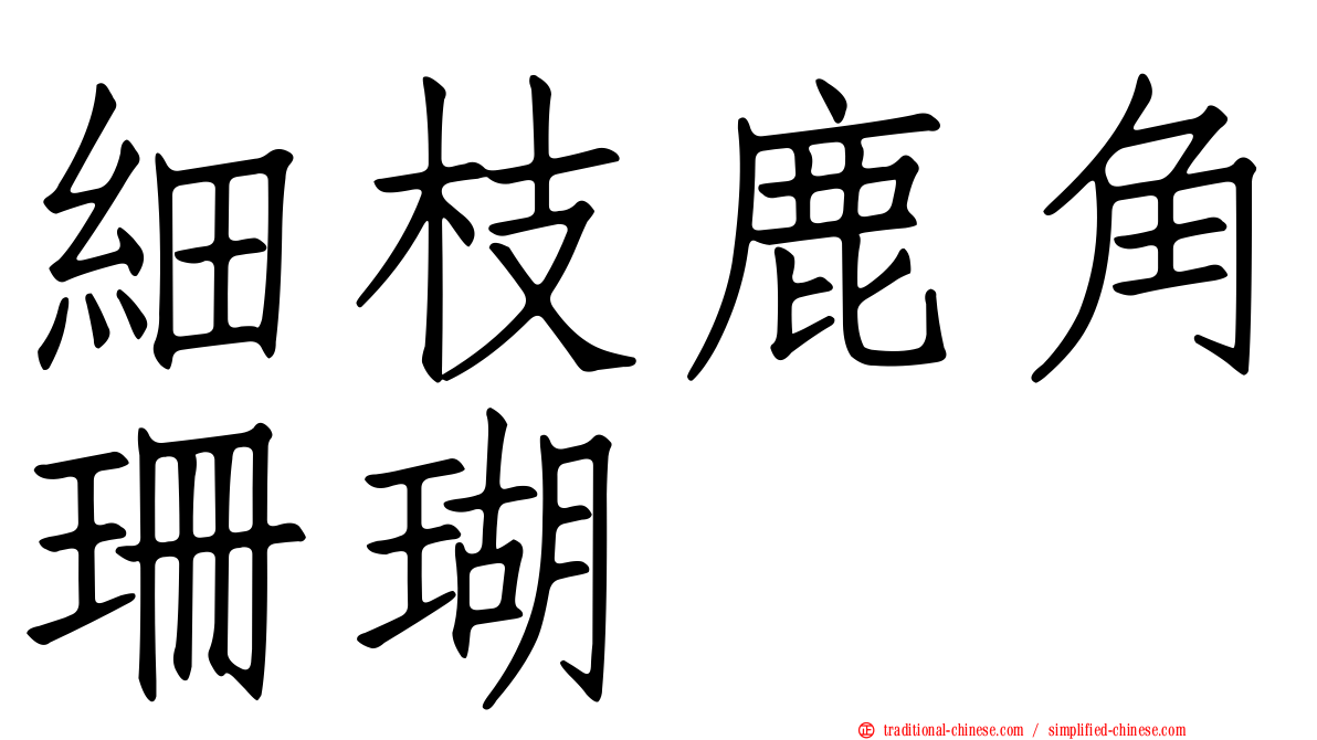 細枝鹿角珊瑚