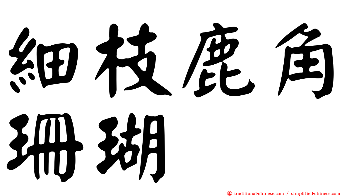 細枝鹿角珊瑚