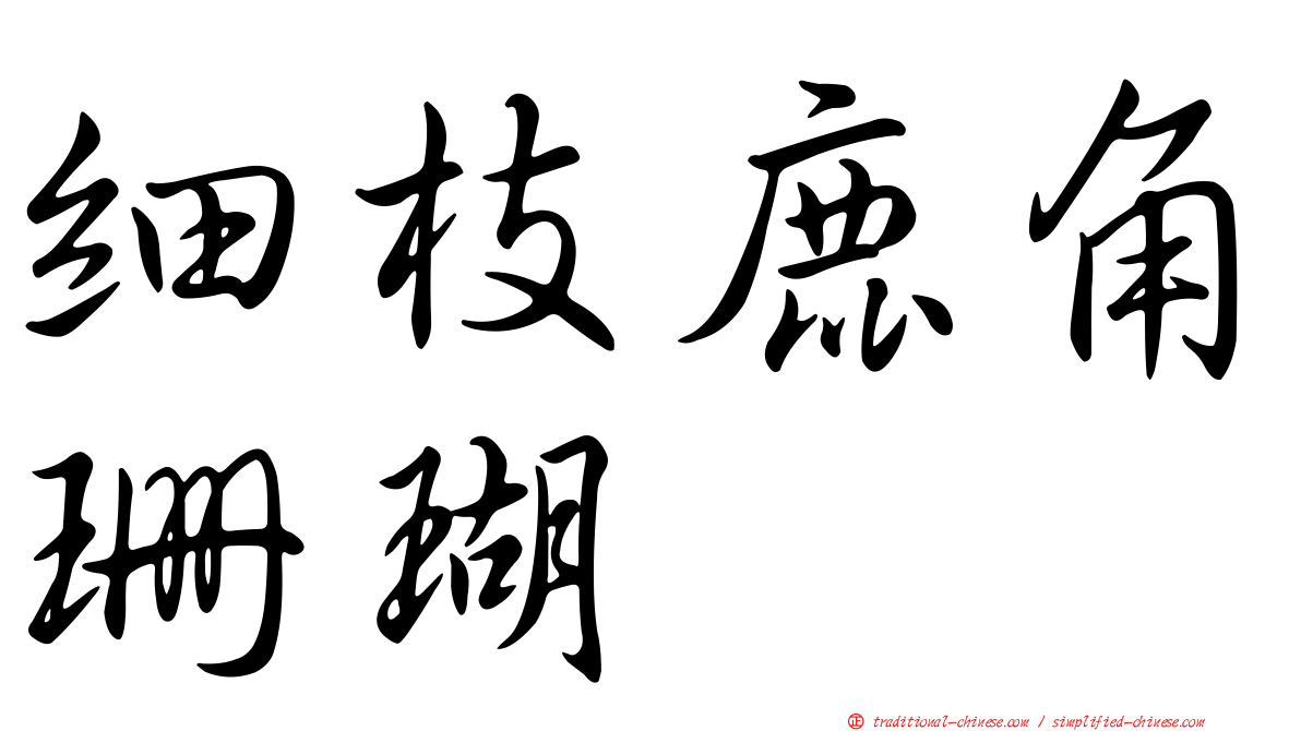 細枝鹿角珊瑚