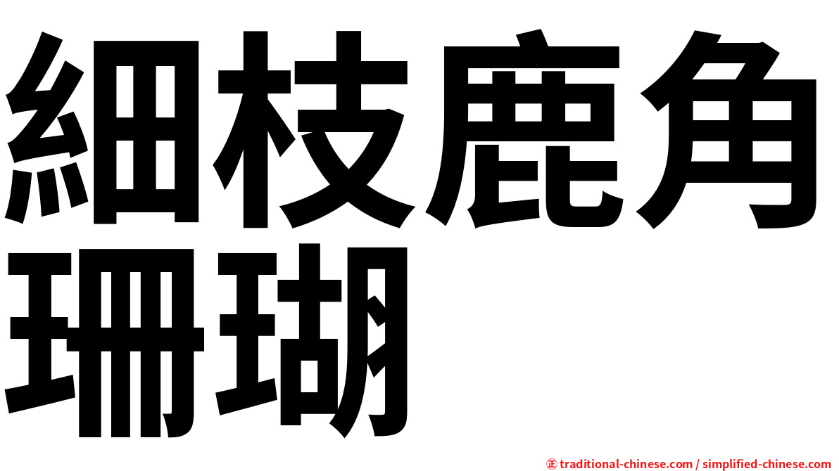 細枝鹿角珊瑚