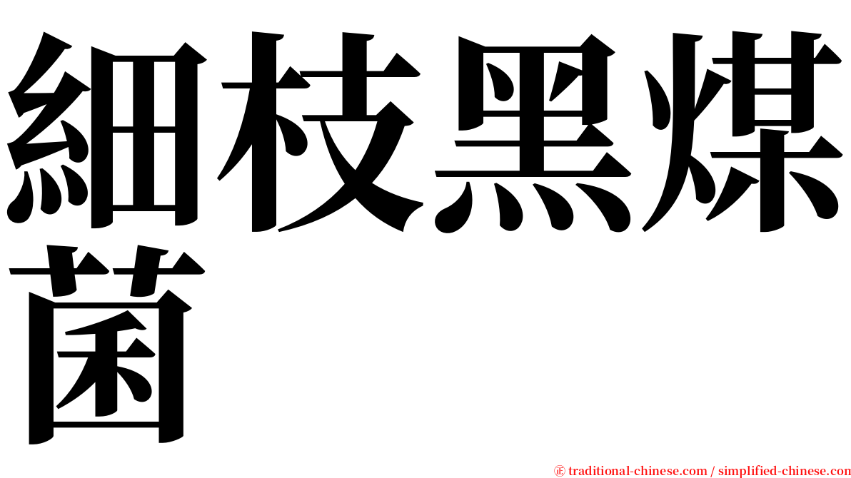 細枝黑煤菌 serif font