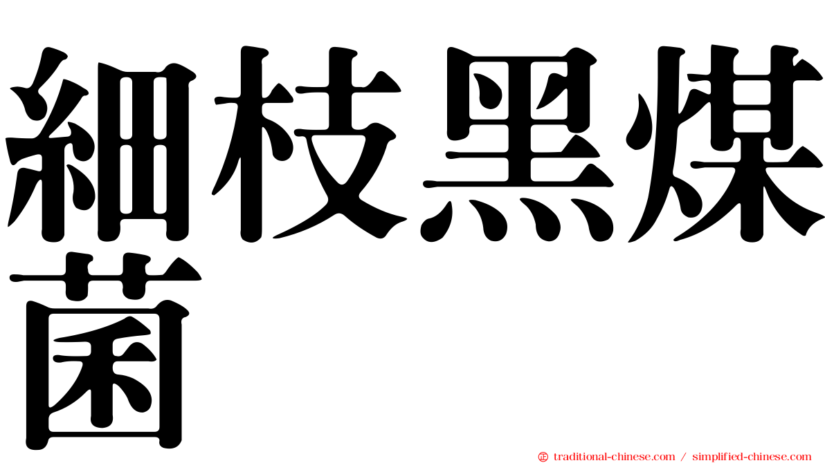 細枝黑煤菌