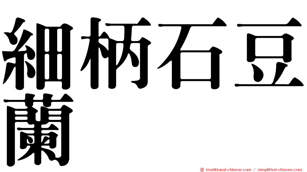 細柄石豆蘭