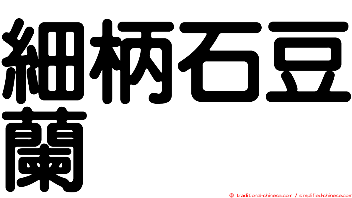 細柄石豆蘭