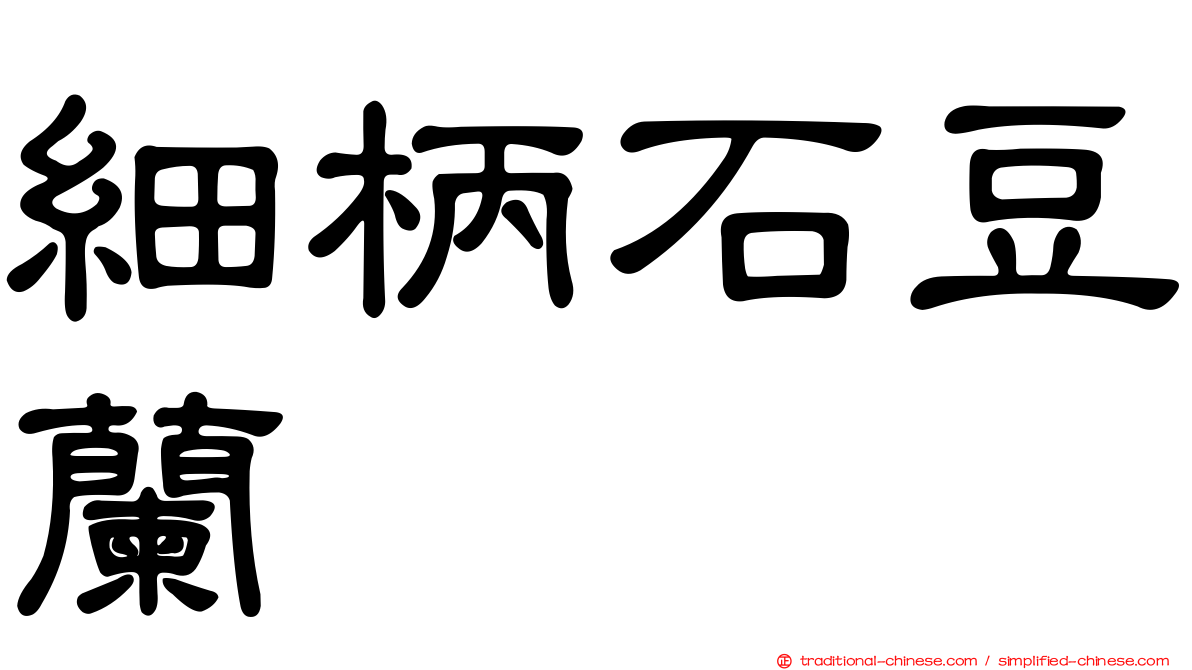 細柄石豆蘭
