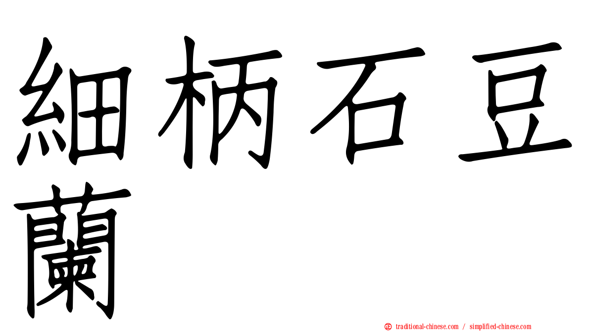 細柄石豆蘭