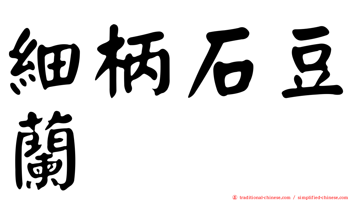 細柄石豆蘭