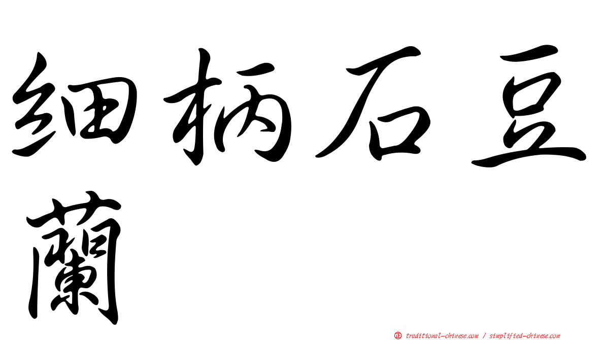 細柄石豆蘭