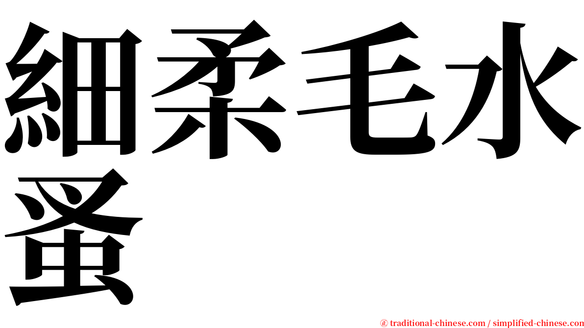 細柔毛水蚤 serif font