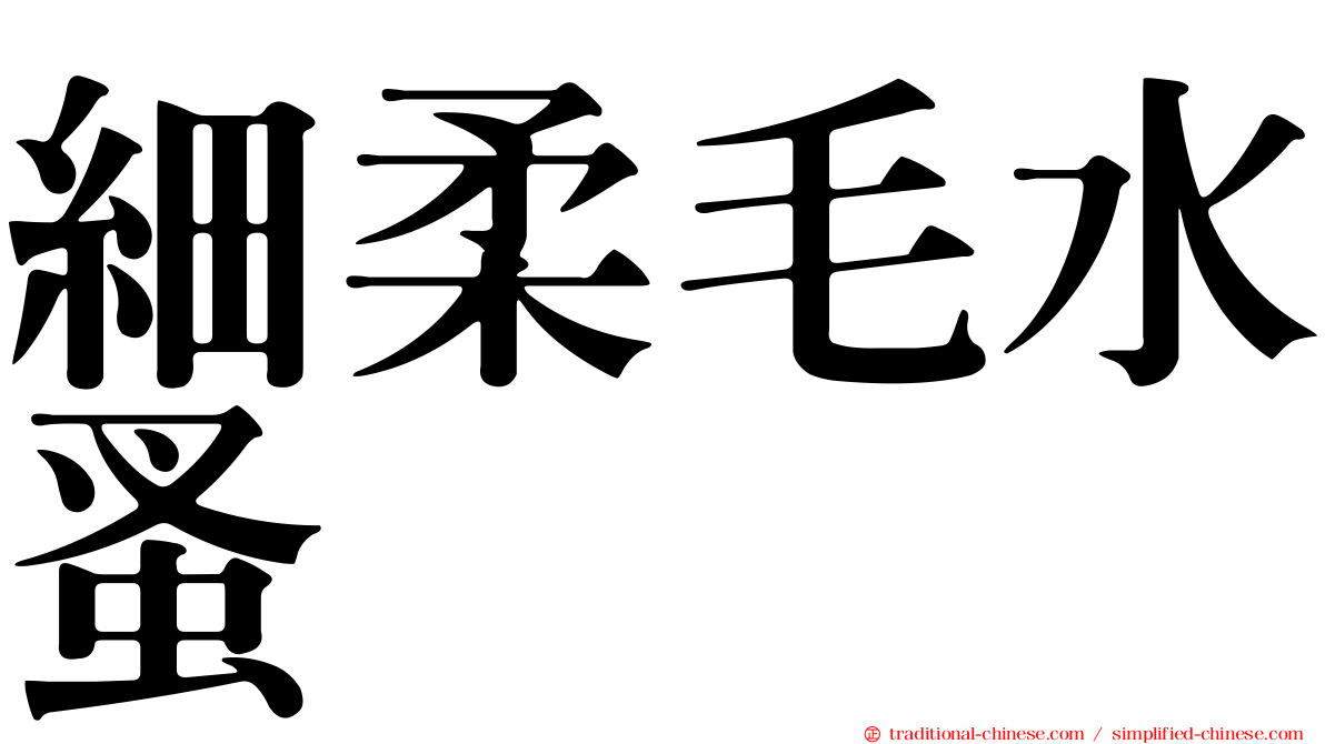 細柔毛水蚤