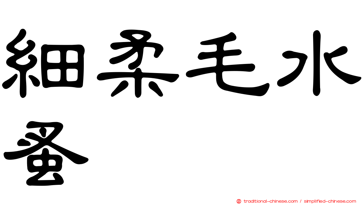 細柔毛水蚤