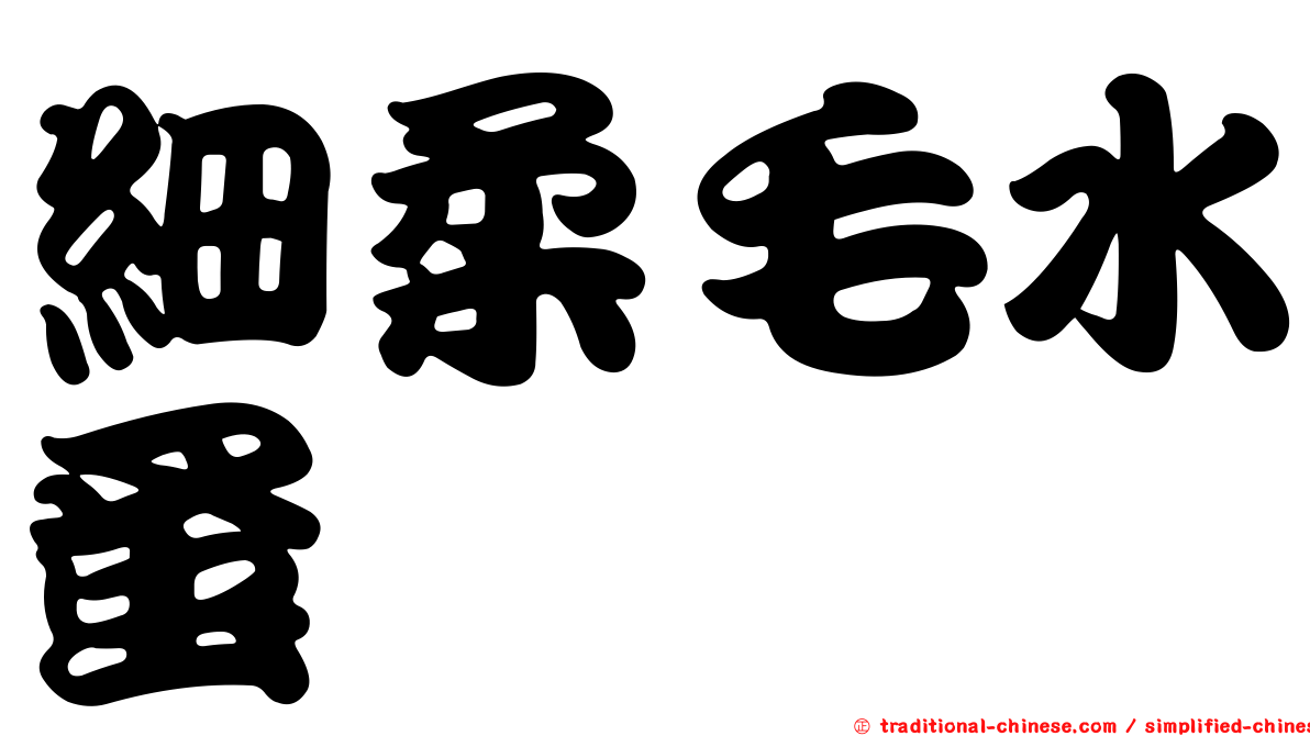 細柔毛水蚤