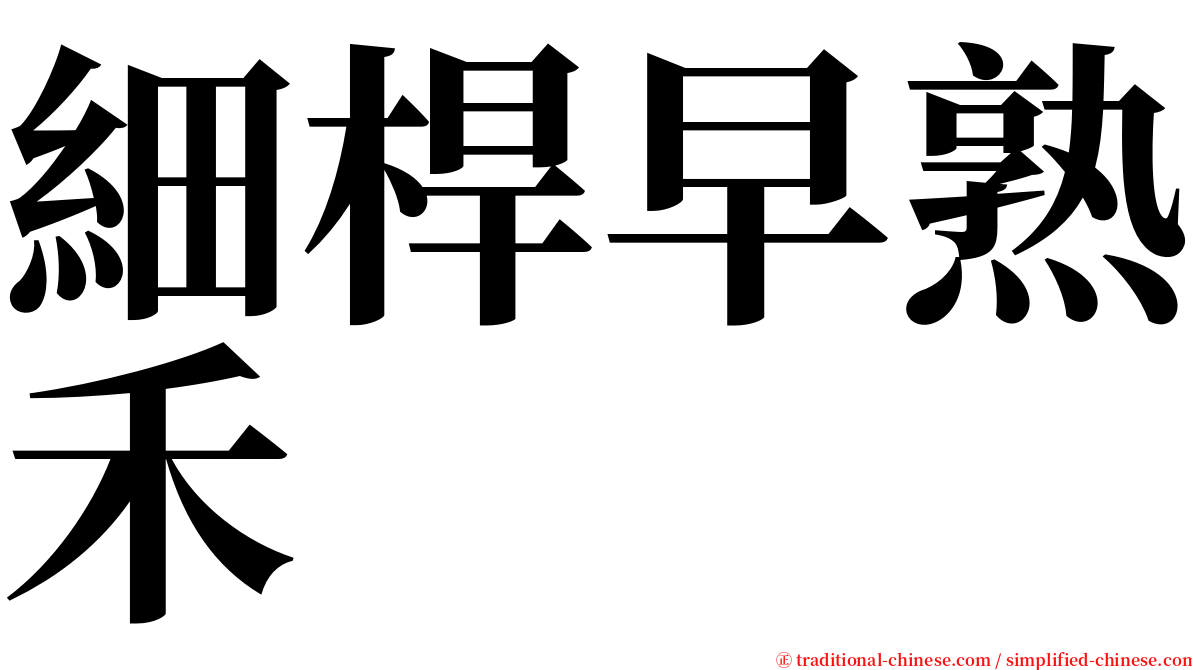 細桿早熟禾 serif font