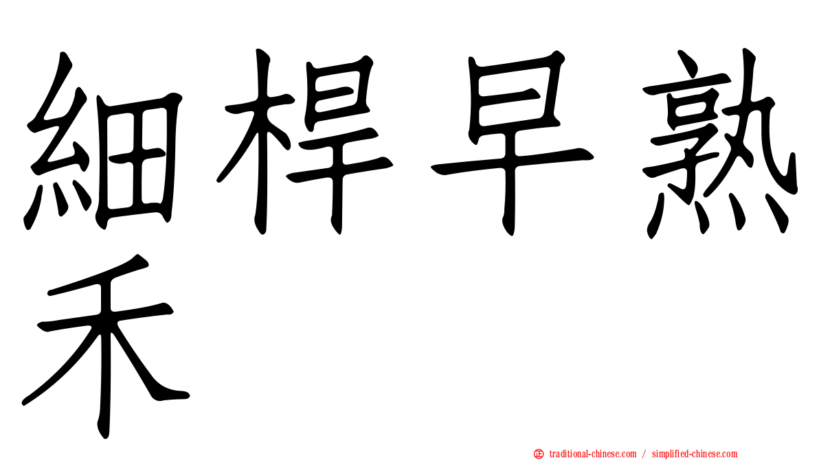 細桿早熟禾