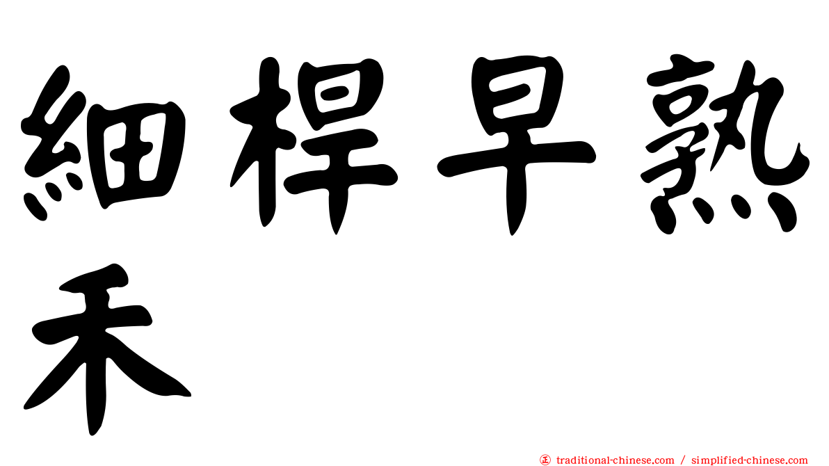 細桿早熟禾