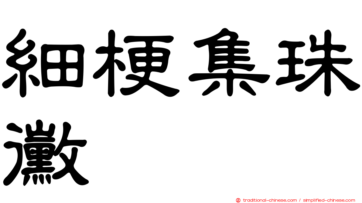 細梗集珠黴