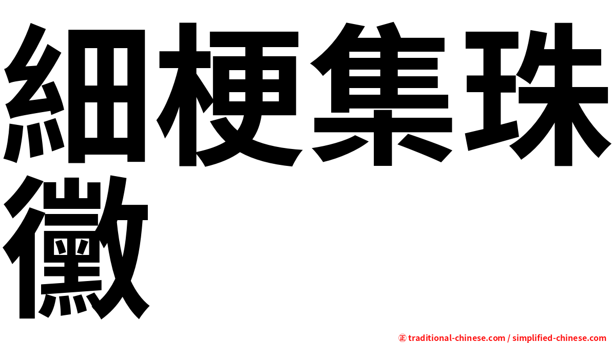 細梗集珠黴
