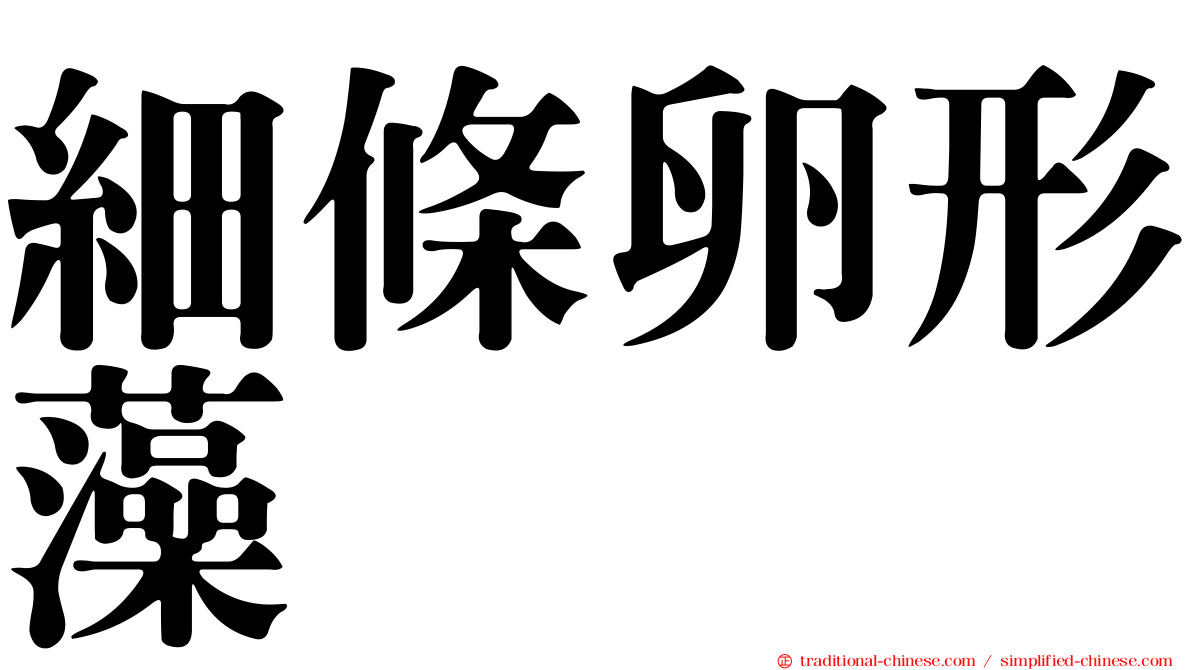 細條卵形藻