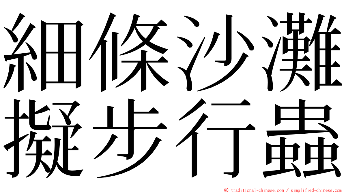 細條沙灘擬步行蟲 ming font