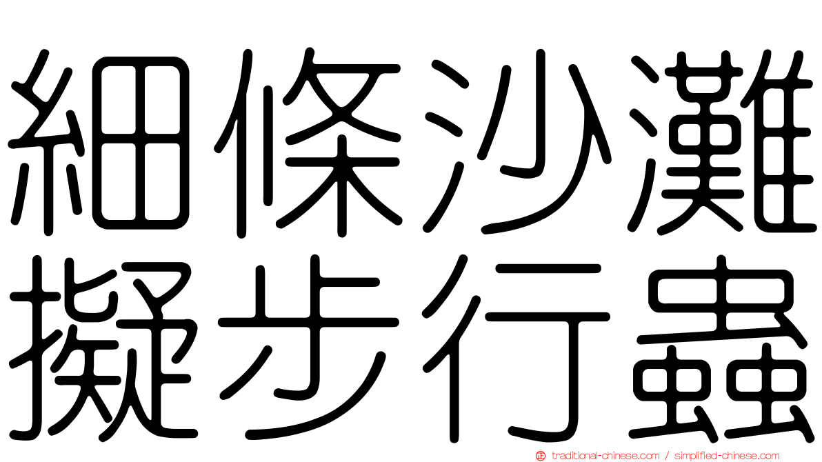 細條沙灘擬步行蟲