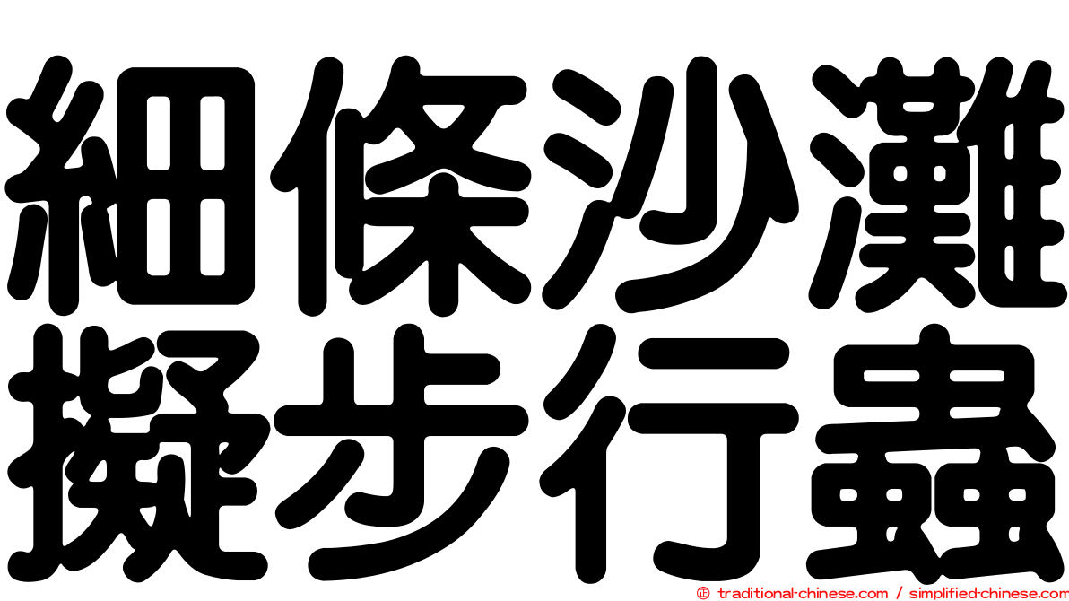 細條沙灘擬步行蟲