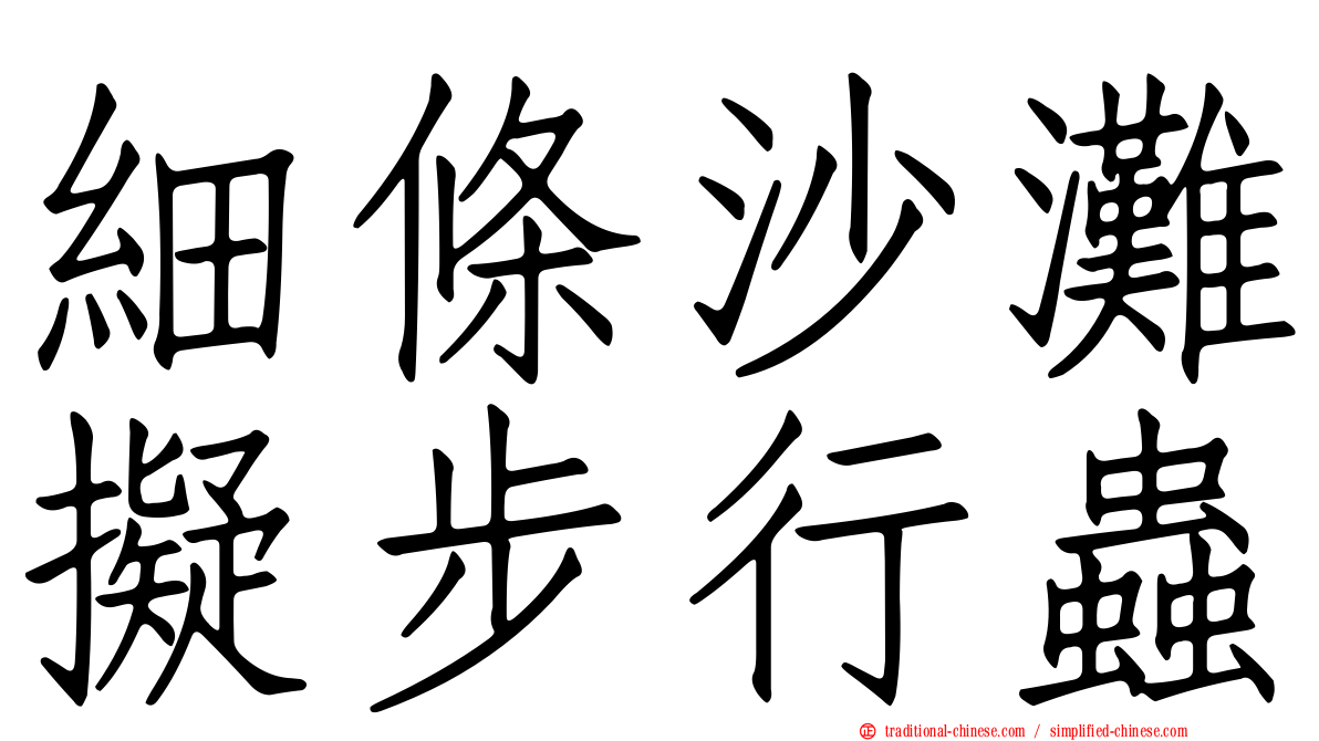 細條沙灘擬步行蟲