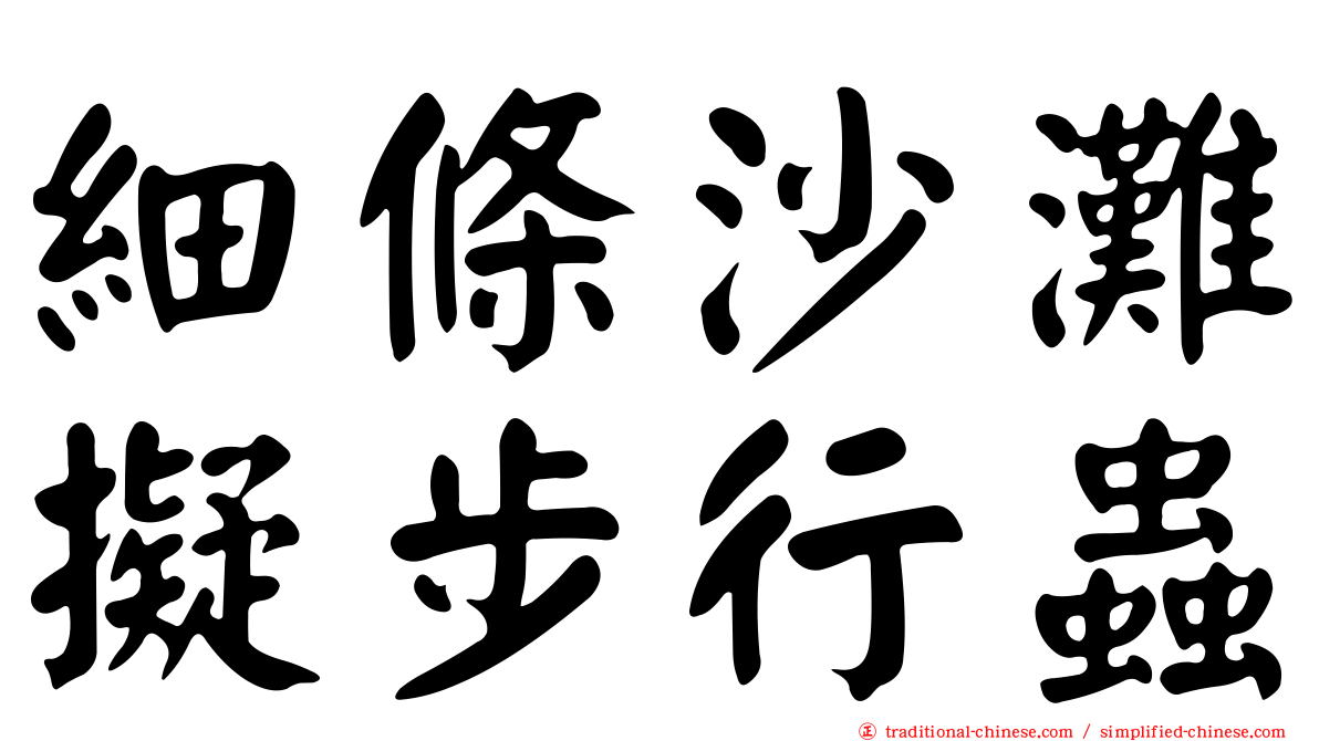 細條沙灘擬步行蟲