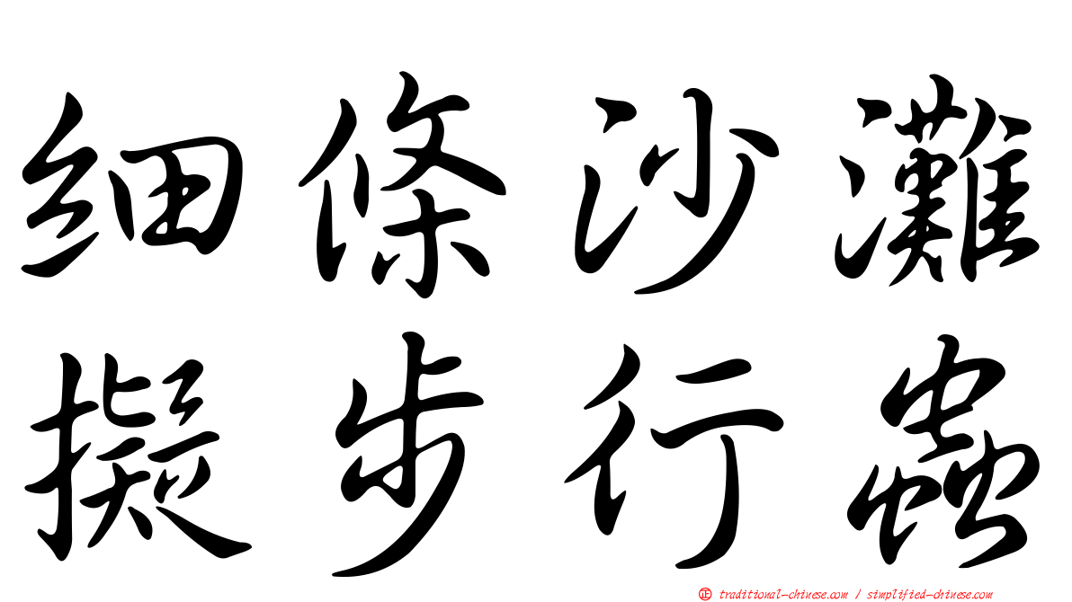 細條沙灘擬步行蟲
