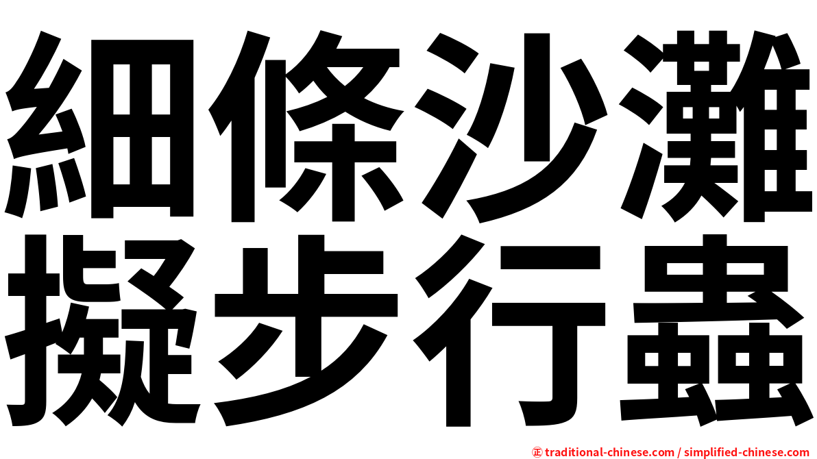細條沙灘擬步行蟲