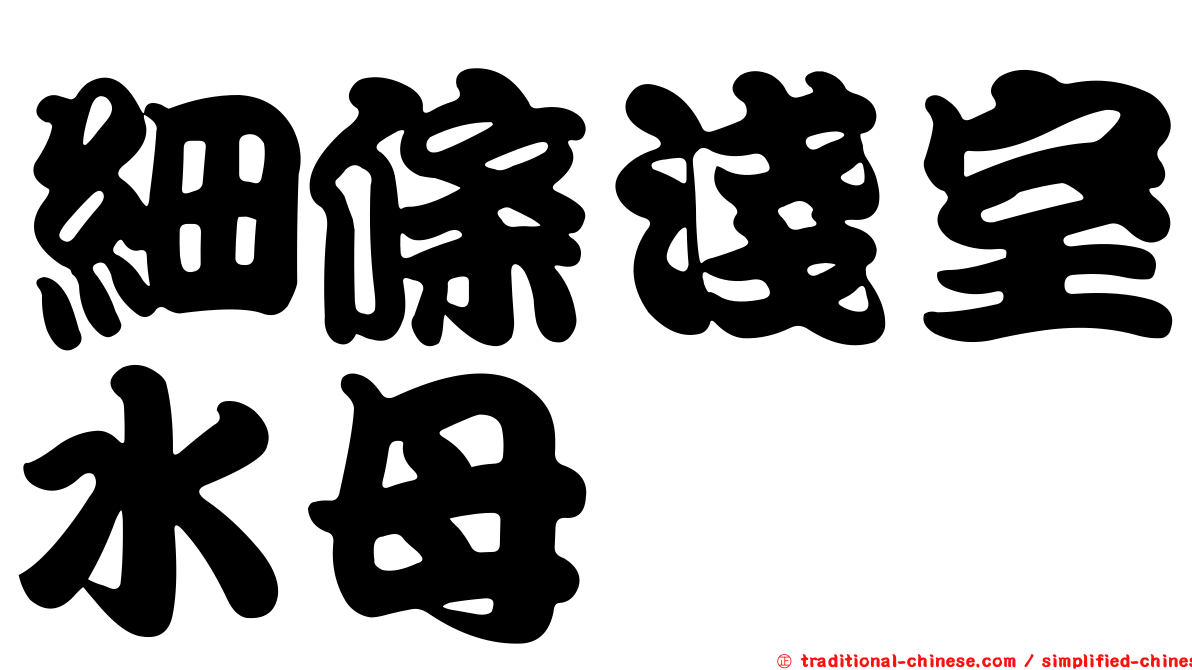 細條淺室水母