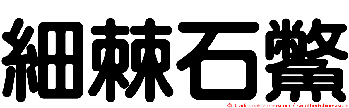 細棘石鱉