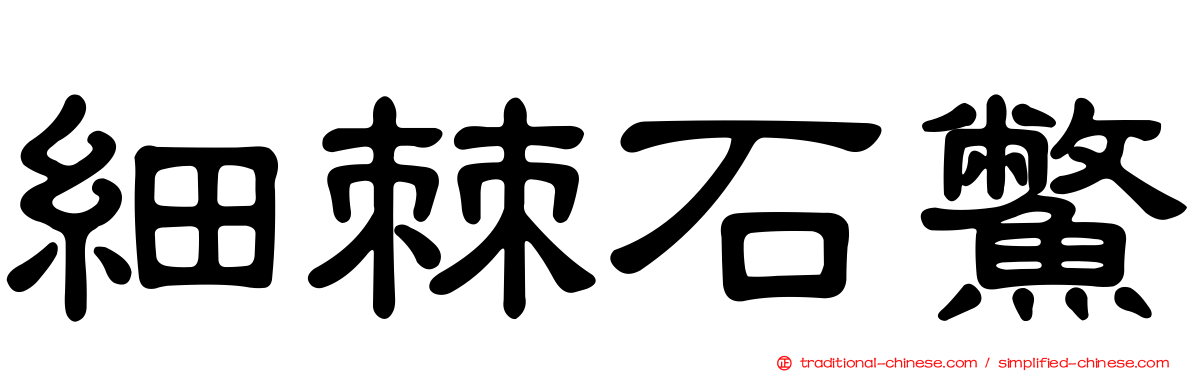細棘石鱉