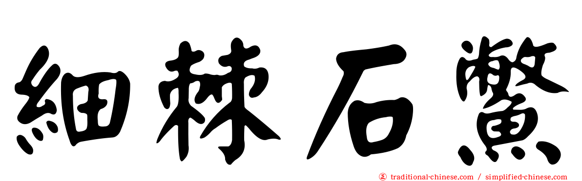 細棘石鱉