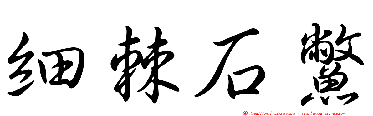 細棘石鱉