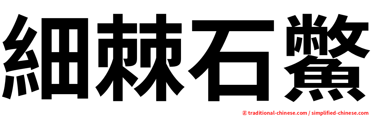 細棘石鱉