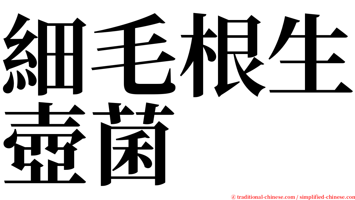 細毛根生壺菌 serif font