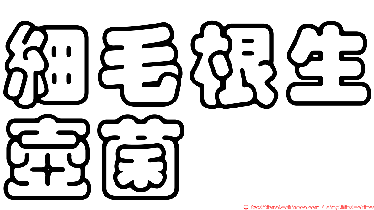 細毛根生壺菌