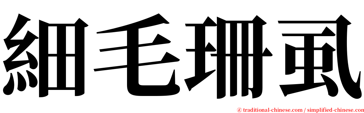 細毛珊虱 serif font