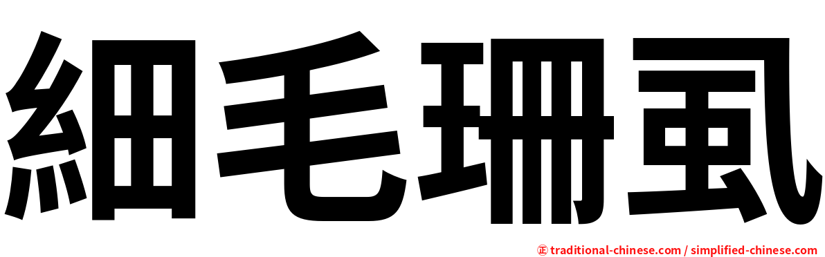細毛珊虱