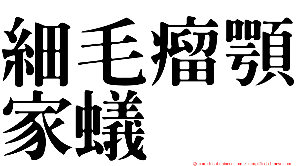 細毛瘤顎家蟻
