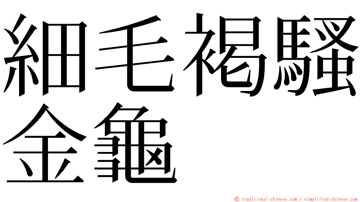 細毛褐騷金龜 ming font