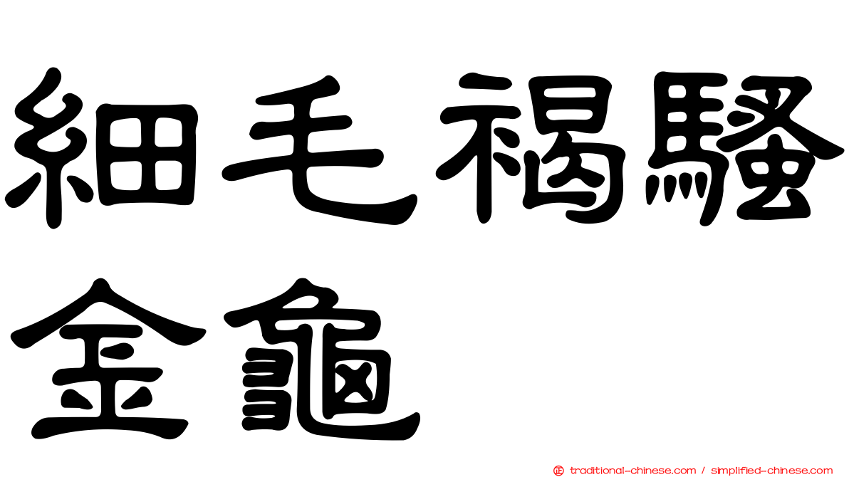 細毛褐騷金龜
