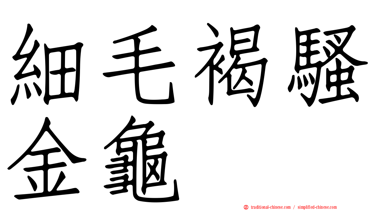 細毛褐騷金龜